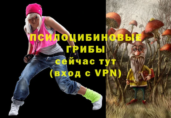 первитин Лиски