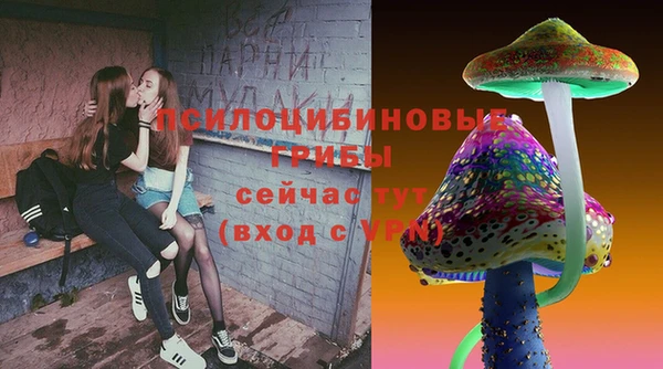 PSILOCYBIN Лихославль