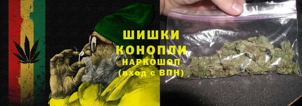 PSILOCYBIN Лихославль