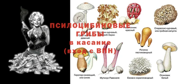 первитин Лиски