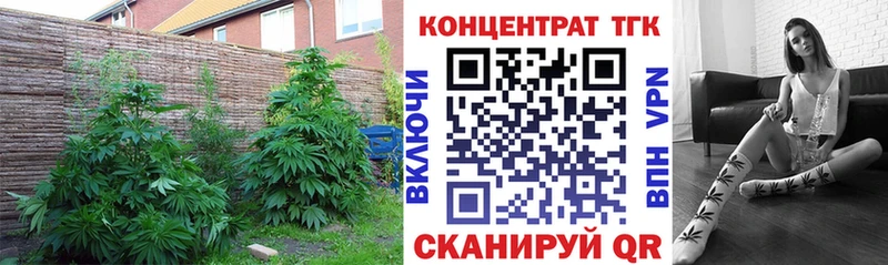 Дистиллят ТГК концентрат  kraken сайт  Холм 