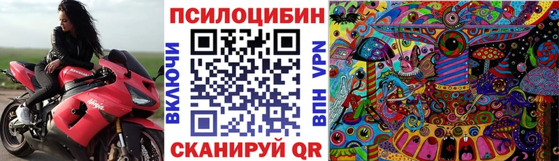 Псилоцибиновые грибы MAGIC MUSHROOMS  Холм 