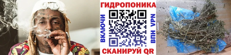 МАРИХУАНА ГИДРОПОН  сколько стоит  Холм 